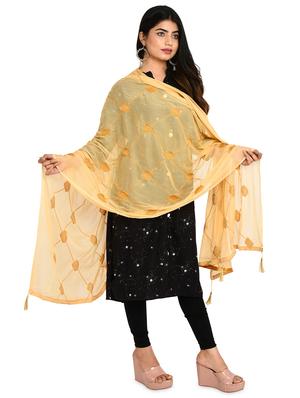 beige chiffon embroidered dupatta - 18324682 - Standard Image - 2