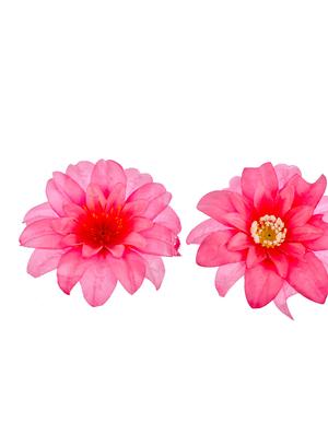 pink floral hair accessory - 18396164 - Standard Image - 3