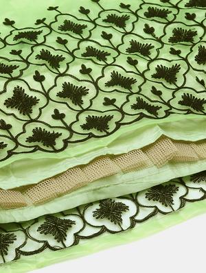 green net flared lehenga - 18408081 - Standard Image - 6