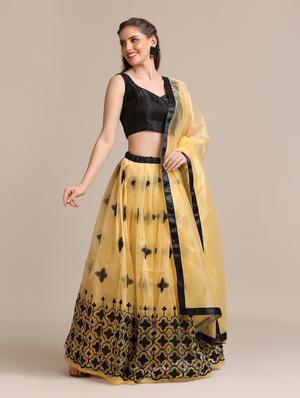 beige net flared lehenga - 18408084 - Standard Image - 3