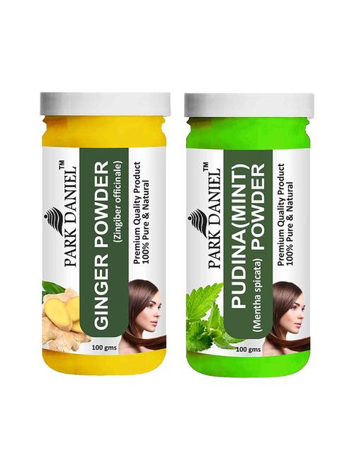park daniel 100% pure & natural ginger powder & pudina powder combo pack of 2 jars of 100 gms(200 gms) - 18428043 - Standard Image - 1