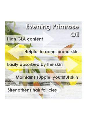 park daniel evening primrose oil- 100% pure & undiluted(100 ml) - 18428117 - Standard Image - 2