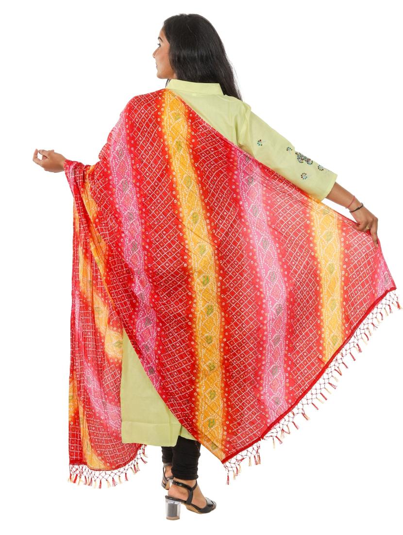 multi colored woven dupatta - 18498291 - Zoom Image - 2