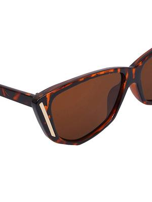 brown sunglasses - 18556968 - Standard Image - 2
