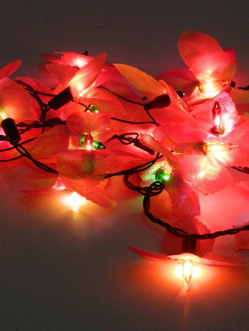multicolored floral plastic string light - 9589112 - Standard Image - 1