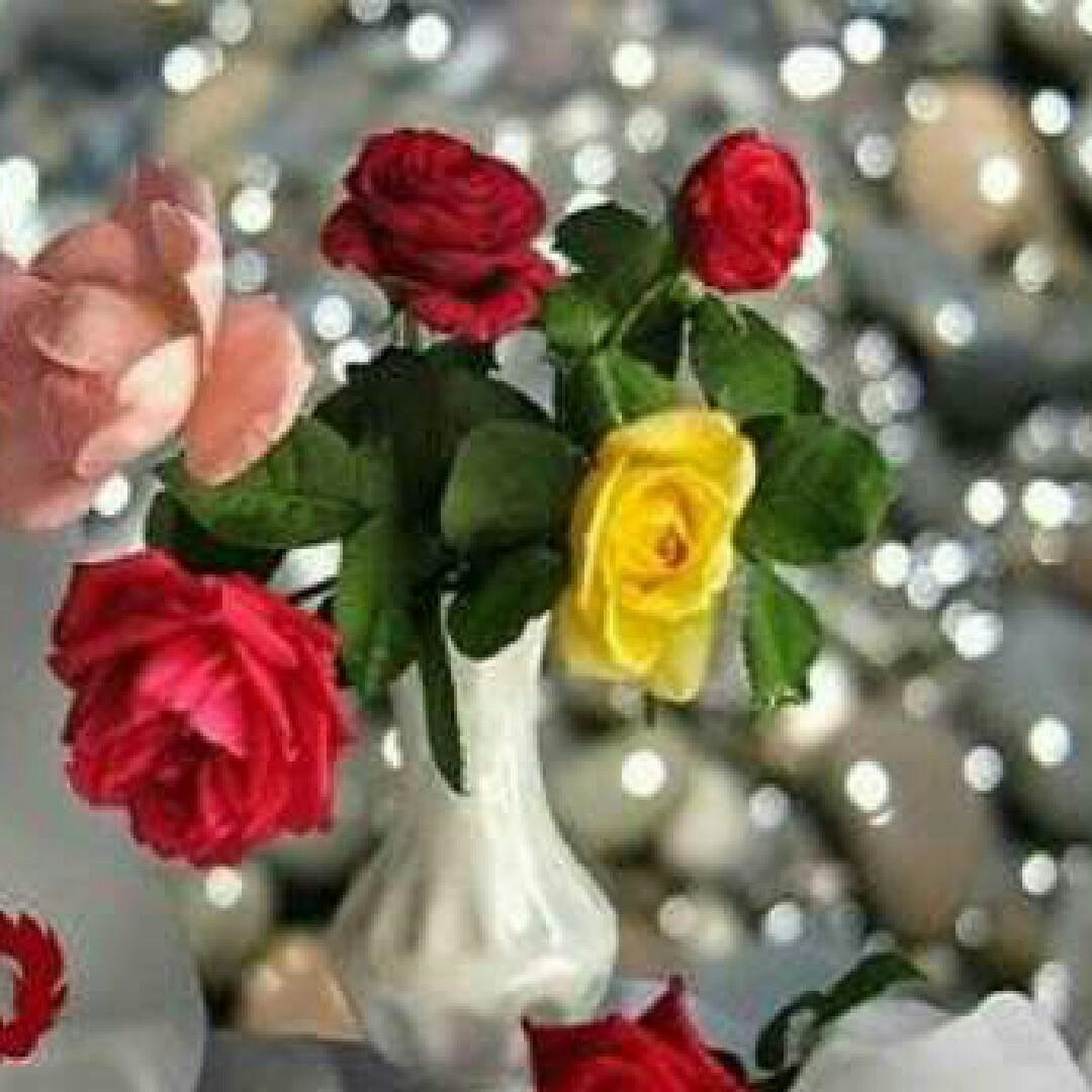 Haritha G