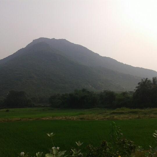 dipti