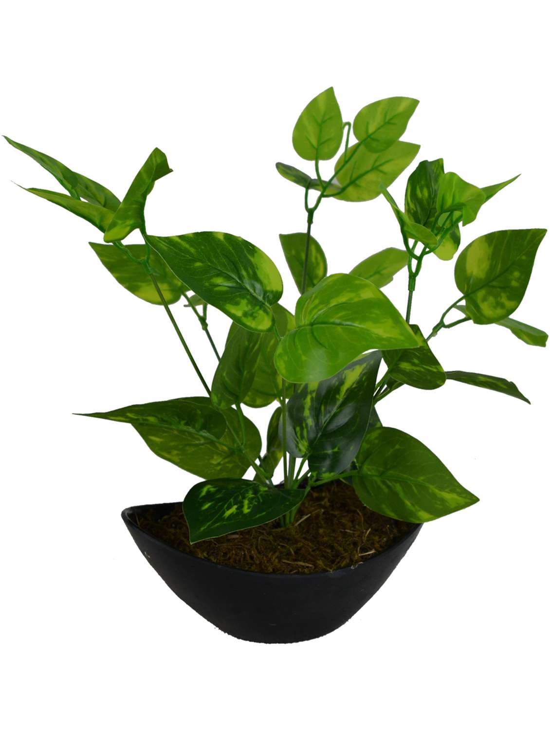 Buy online Artificial Leaves Plant With Boat Shape Pvc White Pot from