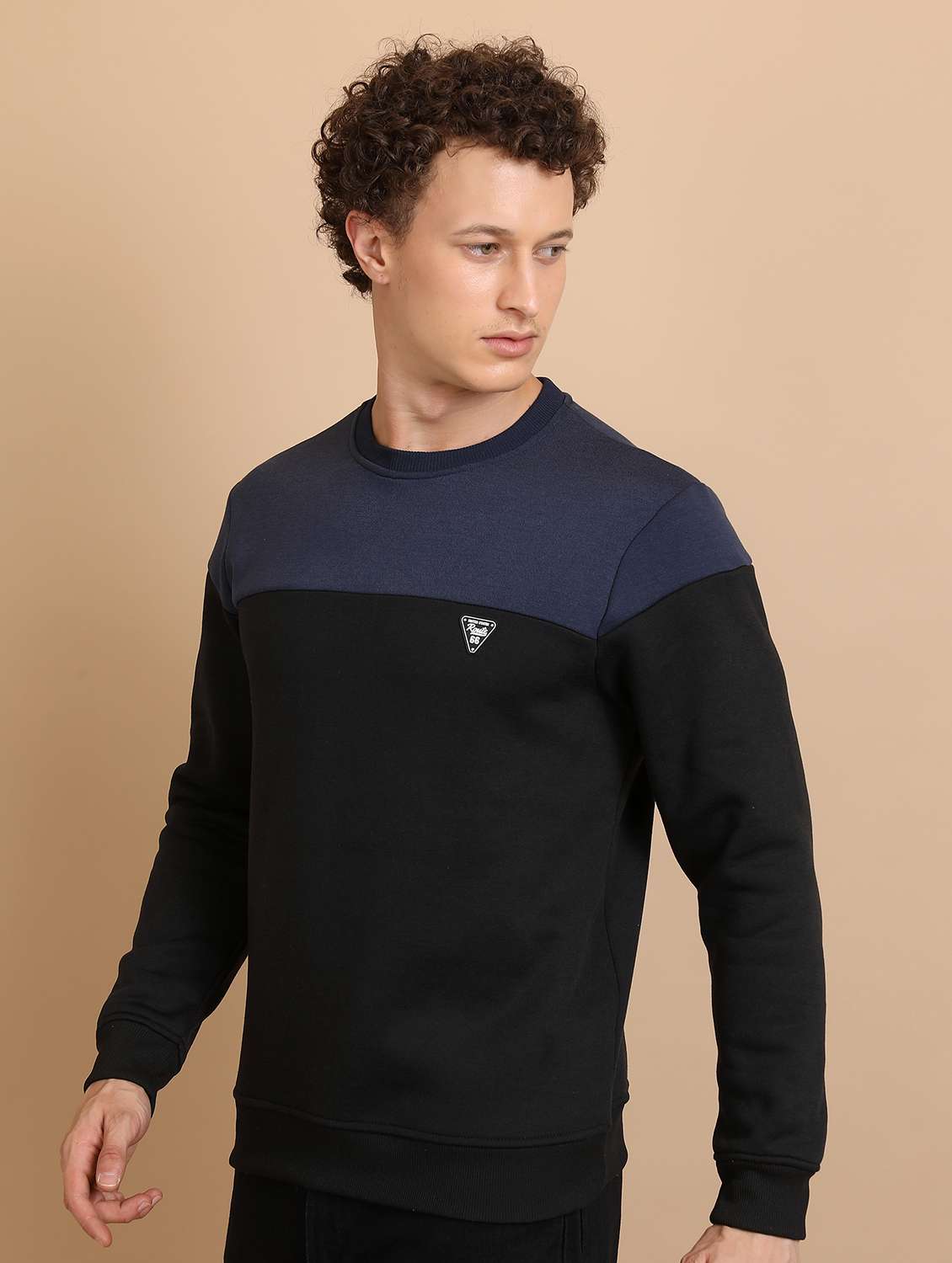 Men Long Sleeves Color Block Sweatshirt